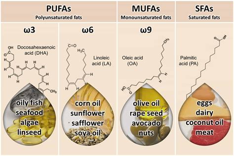 omega coconut oil|coconut oil vs omega 3.